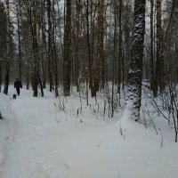 Провожая осень, мы встречаем зиму :: Андрей Лукьянов