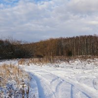 Смоленская осень. :: Милешкин Владимир Алексеевич 