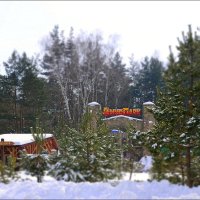 Зима в парке Динозавров :: Сеня Белгородский