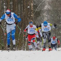Из лыжного марафона в ГАБО :: Евгений Седов