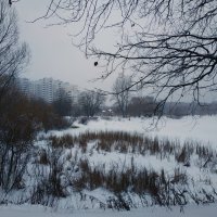 Первый день зимы без прикрас :: Андрей Лукьянов