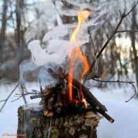 Погреться немного у лесного костерка.. :: Андрей Заломленков