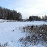 Пришло время зимней рыбалки (репортаж из поездок по области). :: Милешкин Владимир Алексеевич 