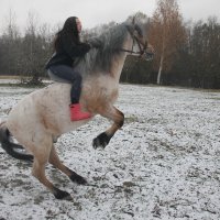Сядешь на лошадь и чувствуешь: летишь! И все тяготы жизни забываются.... :: Tatiana Markova