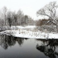 У зимней реки :: Ирина Олехнович