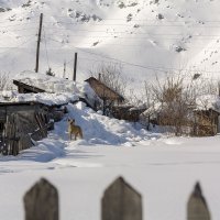 деревенька :: Дмитрий 