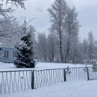Настоящая зима. :: Татьяна Ф *