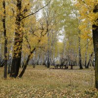 в лесу :: Володя Коваленко