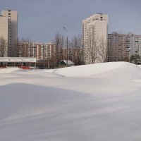 Снежная зима уходящего года. :: Татьяна Помогалова