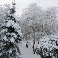 Зимушка-зима :: Ирина 