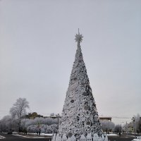 Мороз украсил елку! :: Ольга 