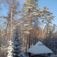 Зима. :: ОКСАНА ЮРЬЕВНА ШВЕЦ