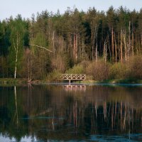 Мостик на лесном озере :: Валерий Вождаев