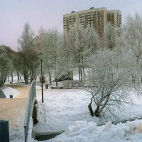 В зимнем парке :: Aleksey Afonin