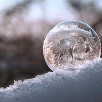 Мыльный пузырь на морозе :: Ирина Полунина