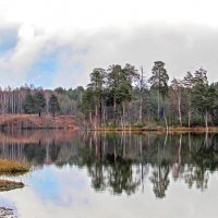 Осенний сюжет :: Любовь Зинченко 