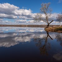 Вспоминая весну. Зазеркалье.... :: Galina 