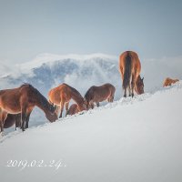 Крым. :: Борис 