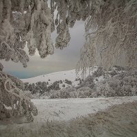 Крымские горы зимой. :: Борис 