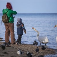 Поймает? :: Светлана Тихонина