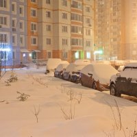 Год назад также был снегопад :: Валерий Иванович