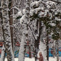 В зимнем парке... :: Сергей Шатохин 