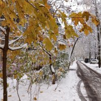 Снег в октябре :: Елена Семигина