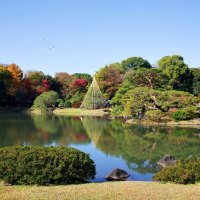 "Сад шести поэм"  Rikugien Gardens Токио Япония :: wea *