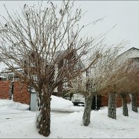 Ледянной дождь :: Сеня Белгородский
