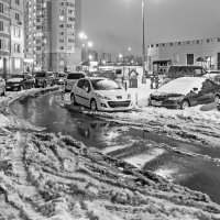 Растает ли снег в Москве к Новому Году? :: Валерий Иванович