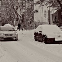 Когда ещё лежал снег :: Петр Фролов