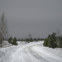 Дорога в зимнюю сказку :: Валерий VRN