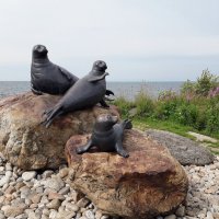 Скульптура. Семья байкальских тюленей :: Лидия Бусурина