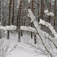 Зима :: Геннадий Худолеев Худолеев