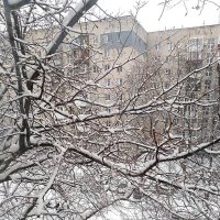 Первый снег 18 ноября :: Нина Колгатина 