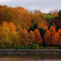 Городской пруд осенью на закате :: M Marikfoto