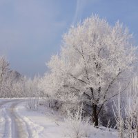 Зимняя дорога :: Наталия Григорьева