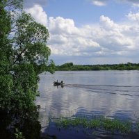 Река Волхов..... :: Светлана Z.