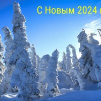 Здоровья, счастья и мира в Новом году! :: Милешкин Владимир Алексеевич 