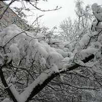 Засыпало снегом :: Вера Щукина