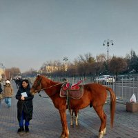 Almaty. :: Murat Bukaev 