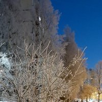 Зима :: Наталья Герасимова