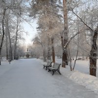 Зимний город :: Галина Минчук