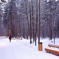 Рождественский вечер в парке :: Татьяна Тюменка