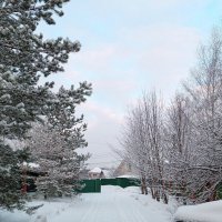 Серебряная зима :: Алла Захарова