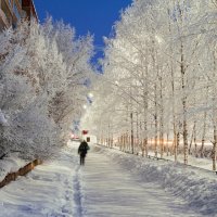 Январь на улицах Ухты радует хрустальным инеем) Это очень волшебное время) :: Николай Зиновьев