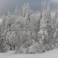 Зимняя сказка горной Башкирии :: Евгений Тарасов 