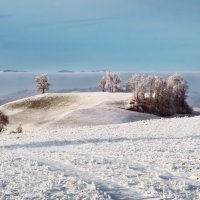 winter view :: Elena Wymann