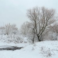 Снежные речные берега :: Андрей Снегерёв