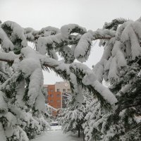 Снежна арка :: Ирина 